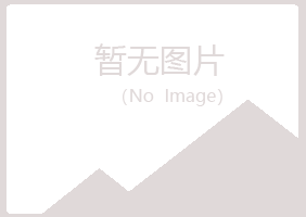 新疆晓夏采矿有限公司